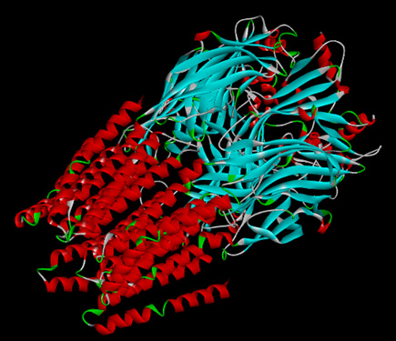 Graphical Abstract