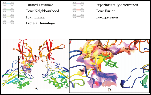 Graphical Abstract