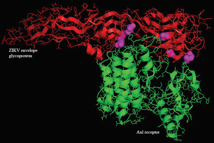 Graphical Abstract