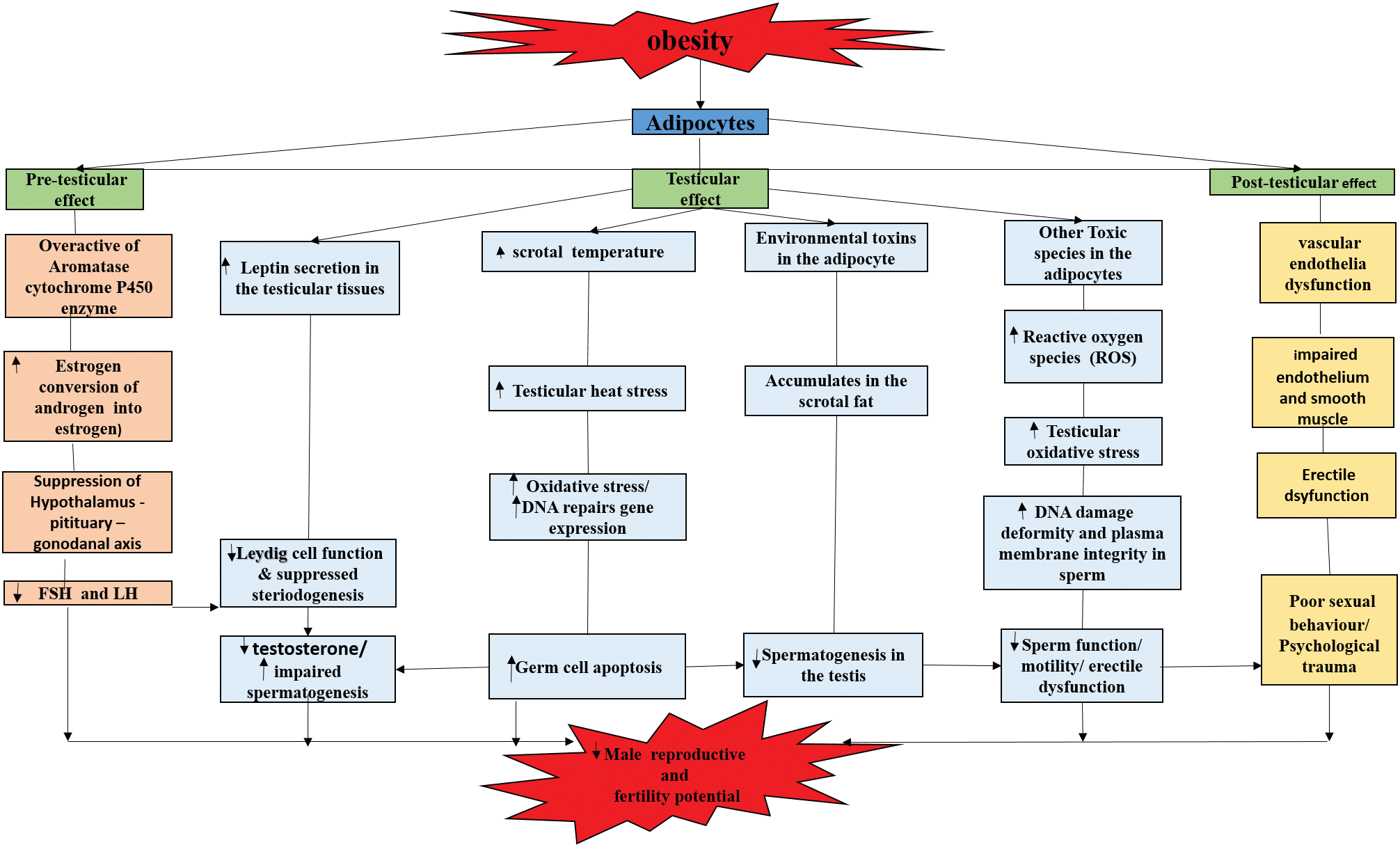 Graphical Abstract