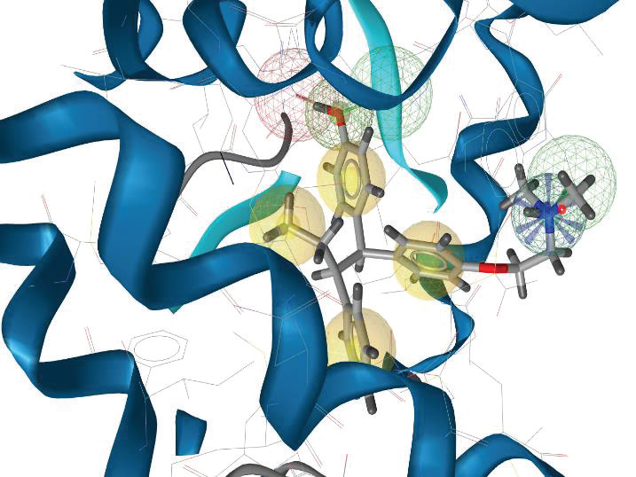 Graphical Abstract