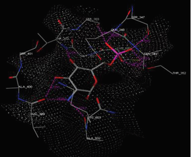 Graphical Abstract