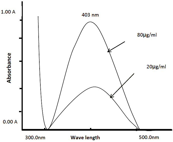 Graphical Abstract