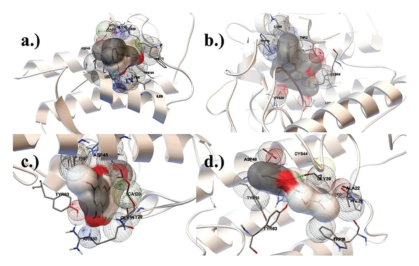 Graphical Abstract