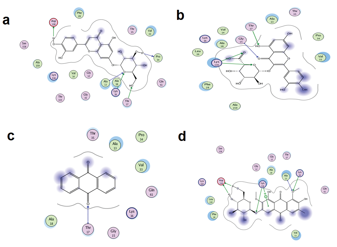 Graphical Abstract