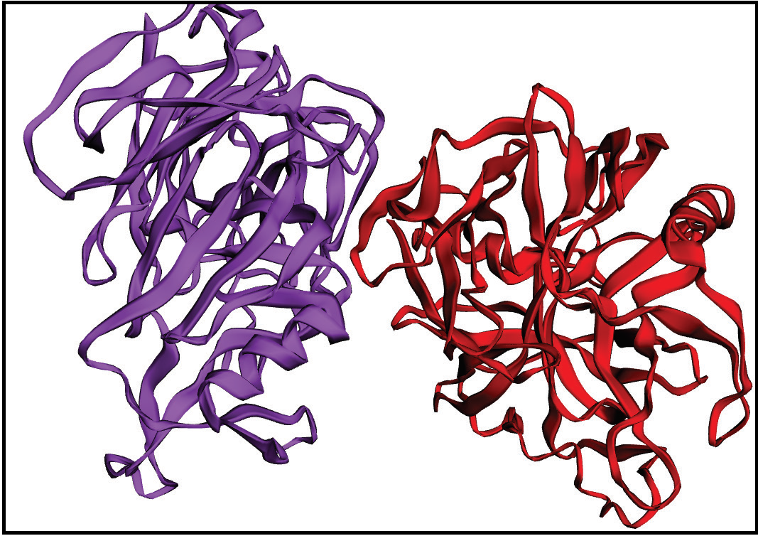 Graphical Abstract