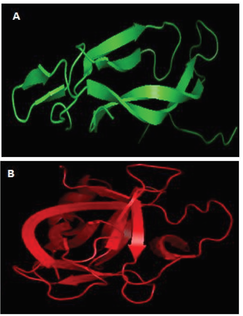 Graphical Abstract