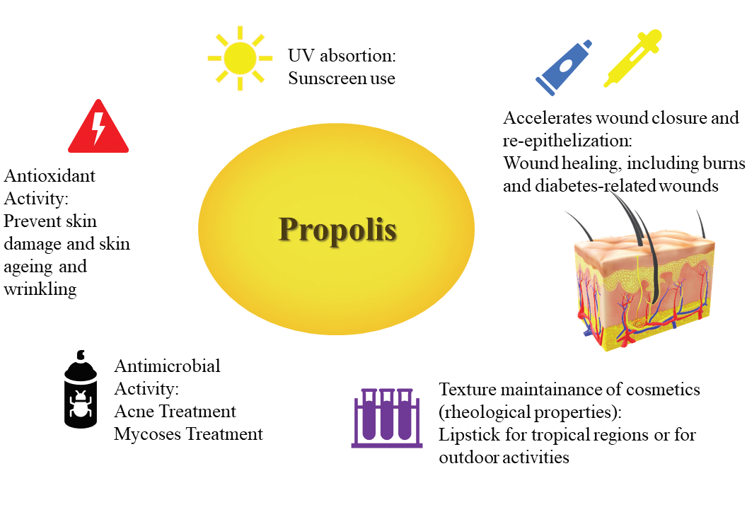 Graphical Abstract