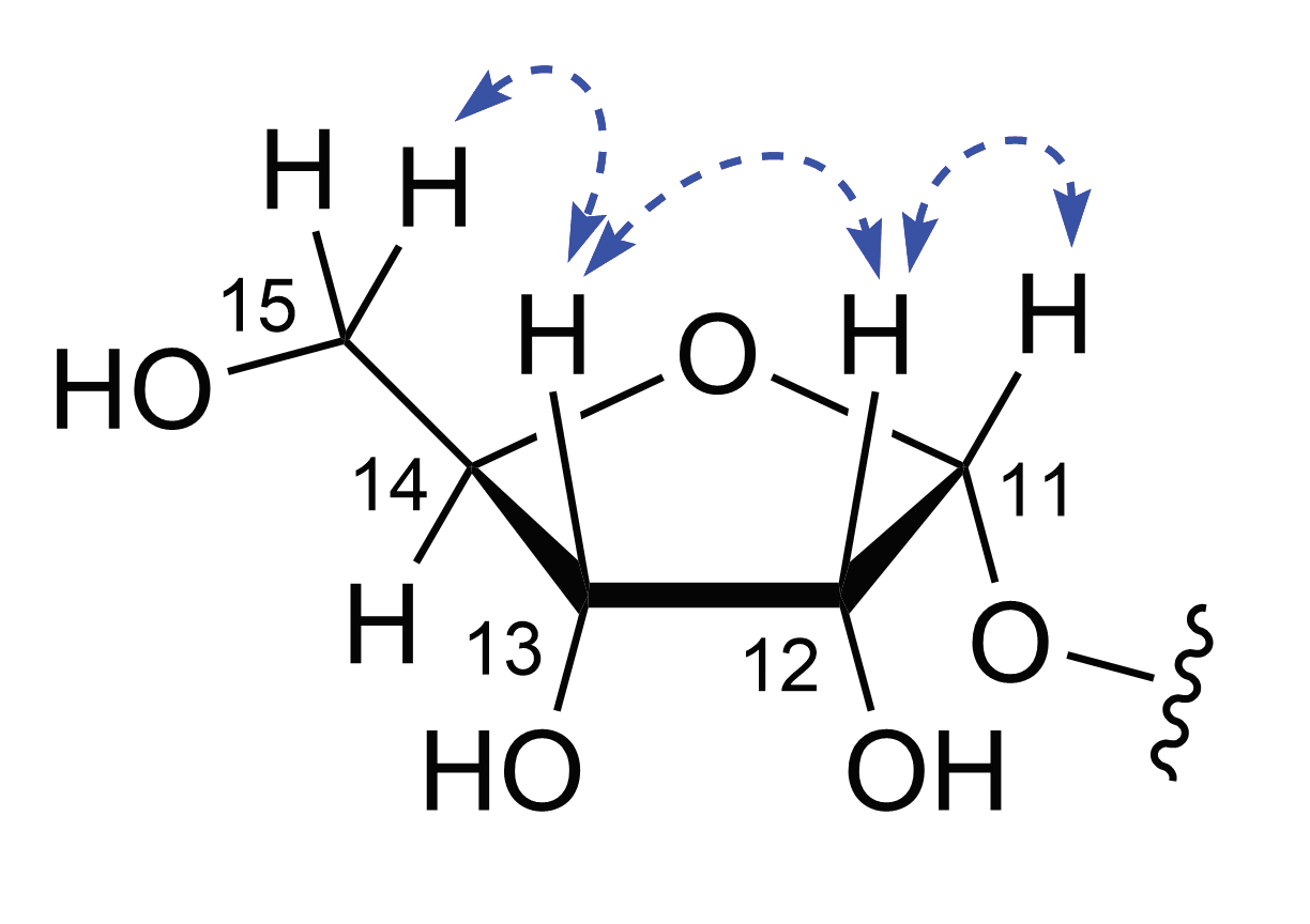 Graphical Abstract