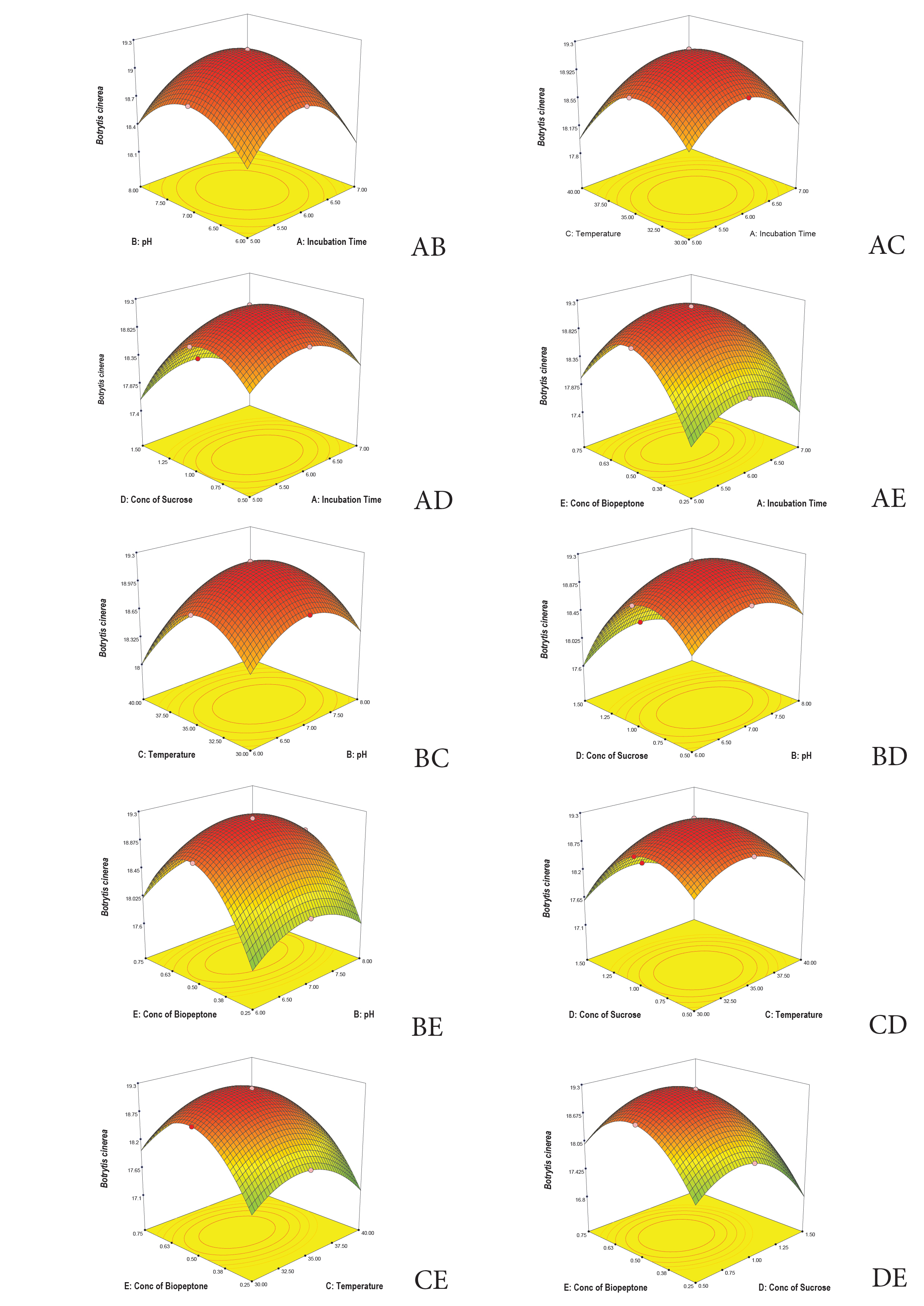 Graphical Abstract