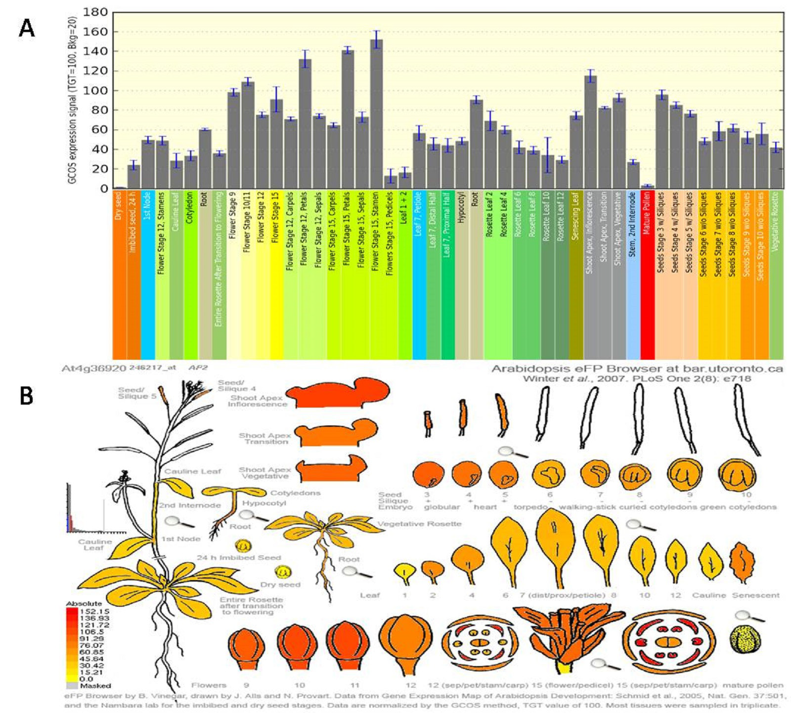 Graphical Abstract