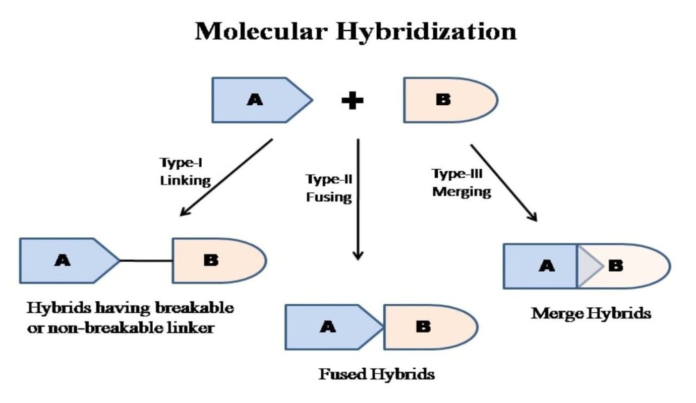 Graphical Abstract