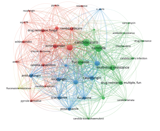 Graphical Abstract