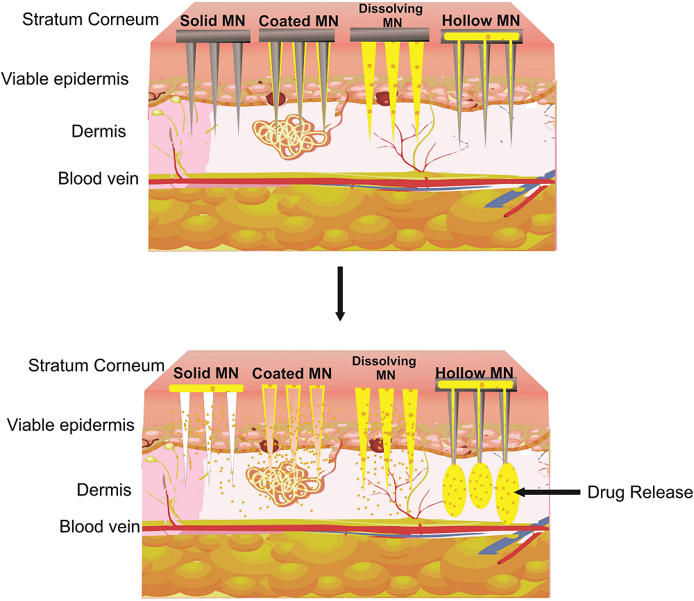 Graphical Abstract