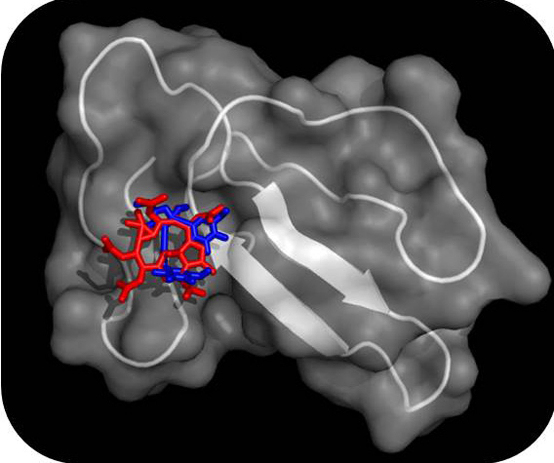 Graphical Abstract