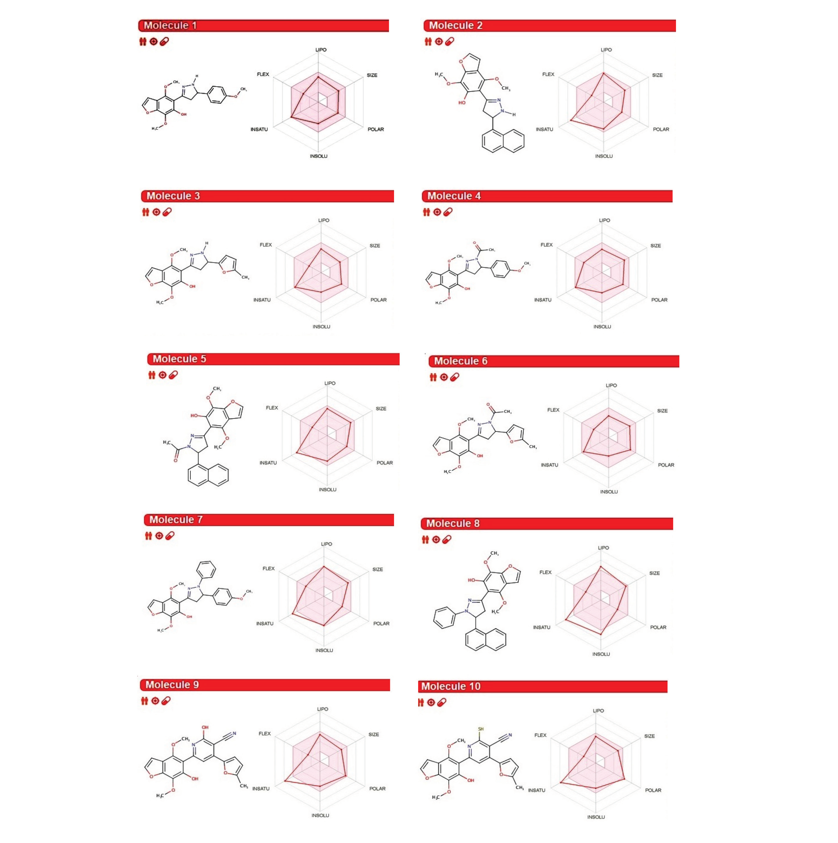 Graphical Abstract