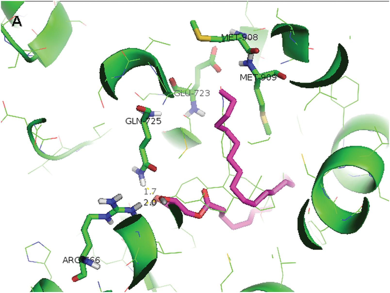 Graphical Abstract