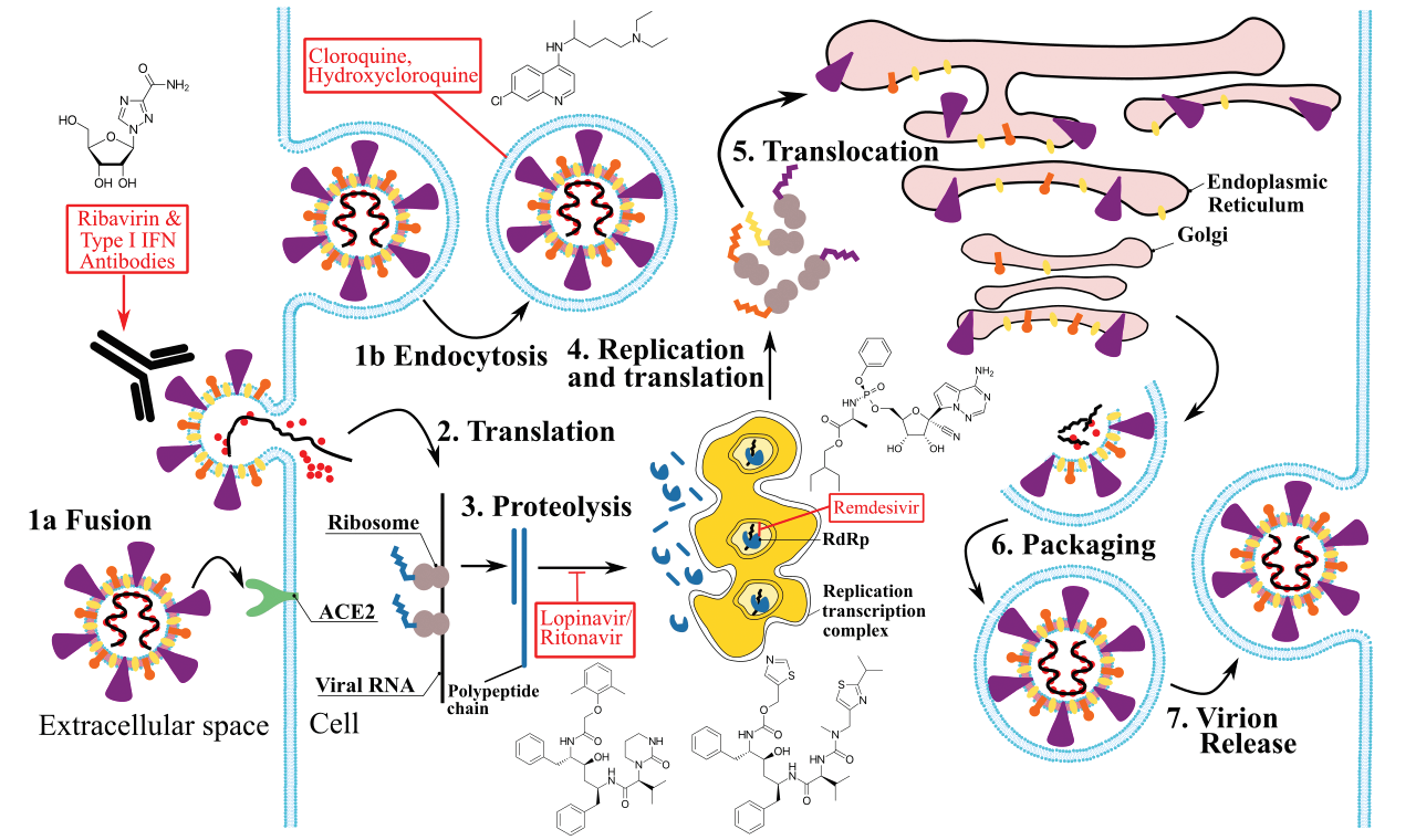 Graphical Abstract