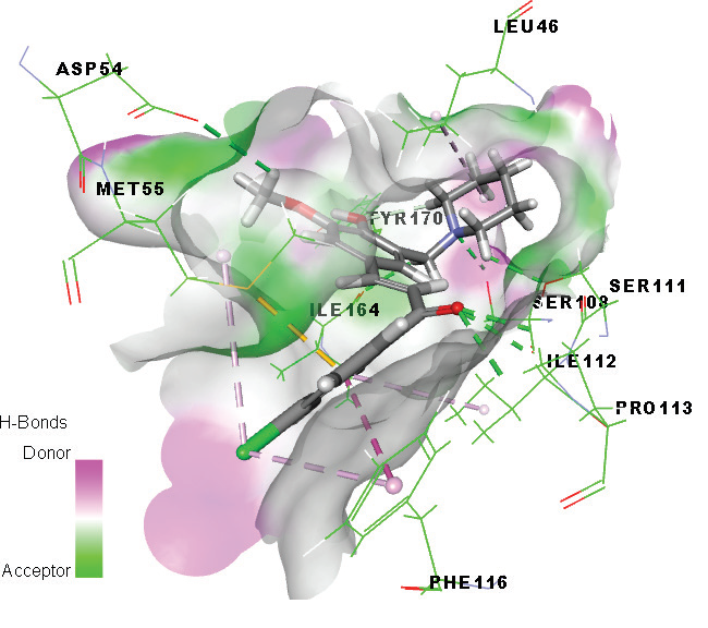 Graphical Abstract