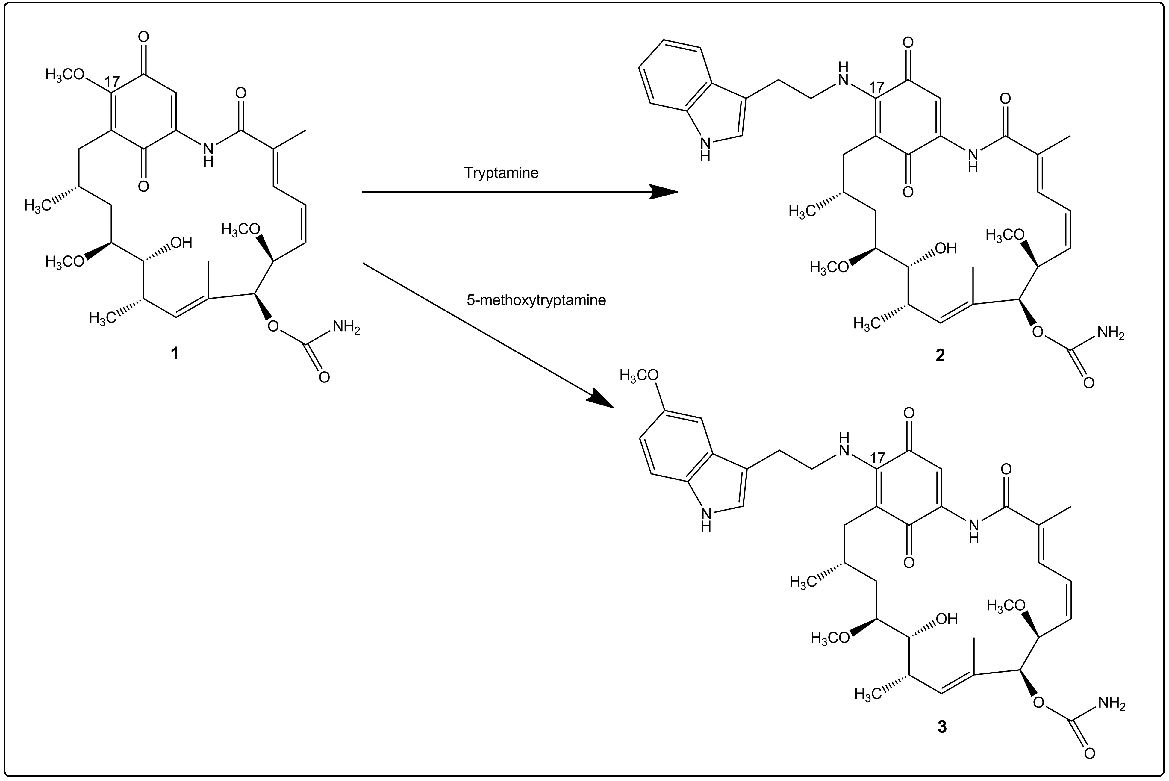 Graphical Abstract