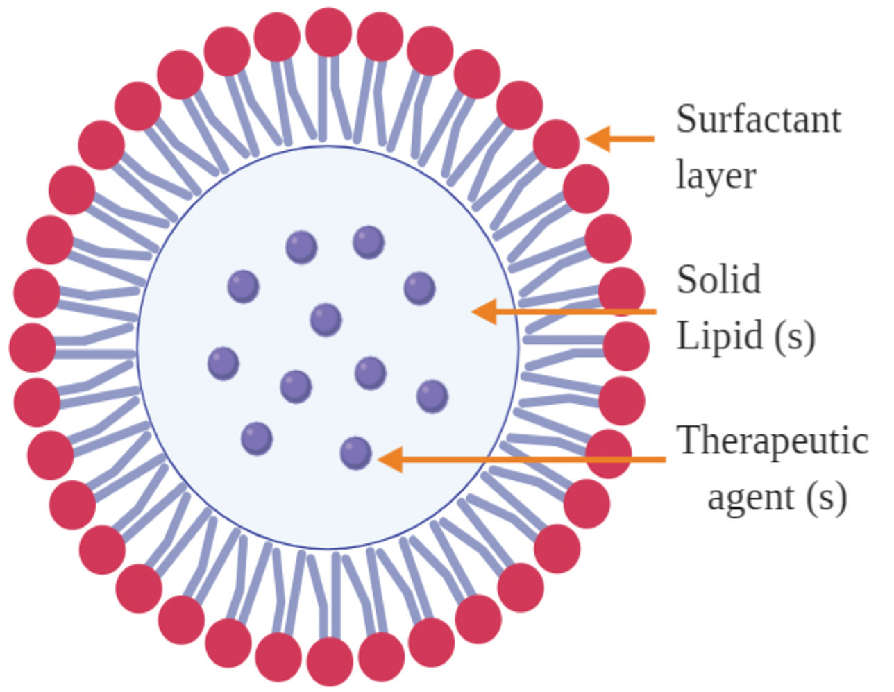 Graphical Abstract