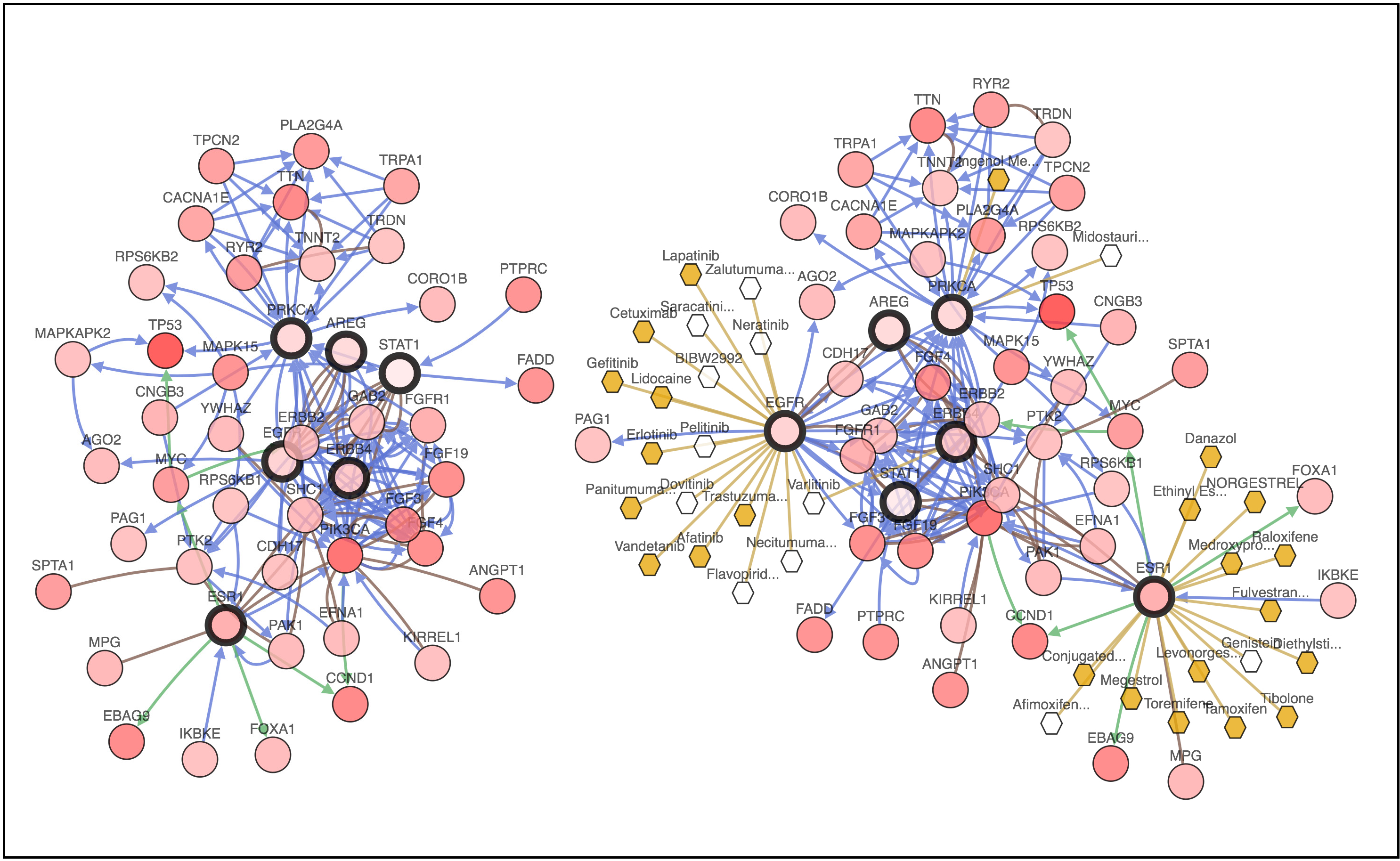 Graphical Abstract