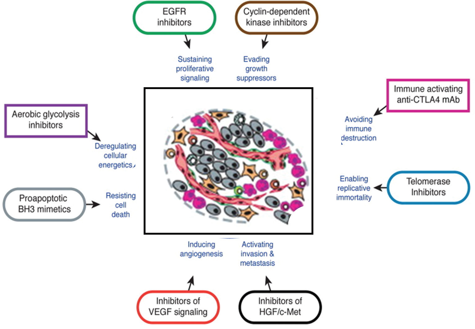 Graphical Abstract