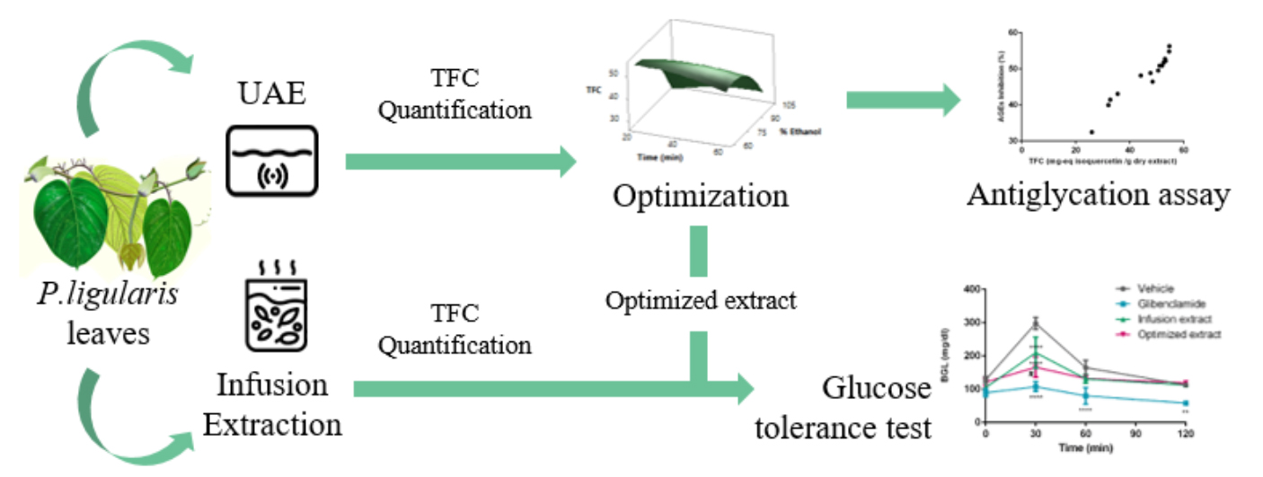 Graphical Abstract