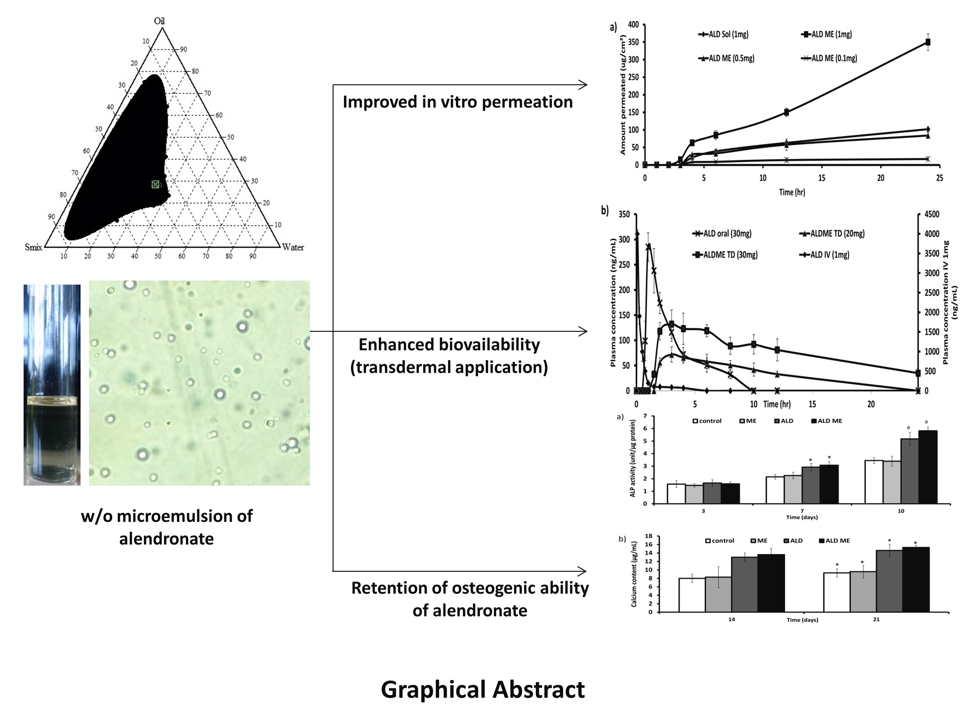 Graphical Abstract