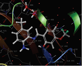 Graphical Abstract