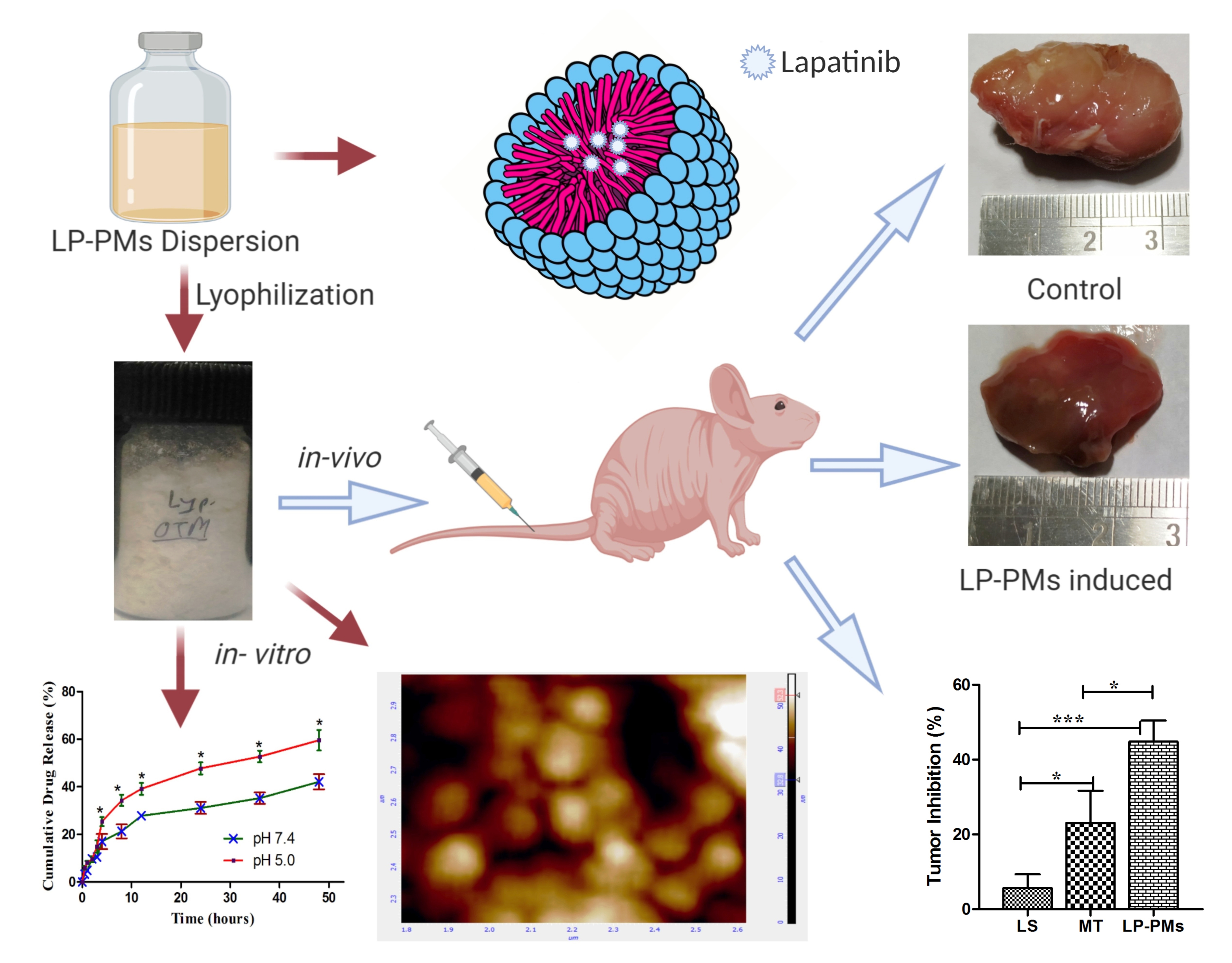 Graphical Abstract