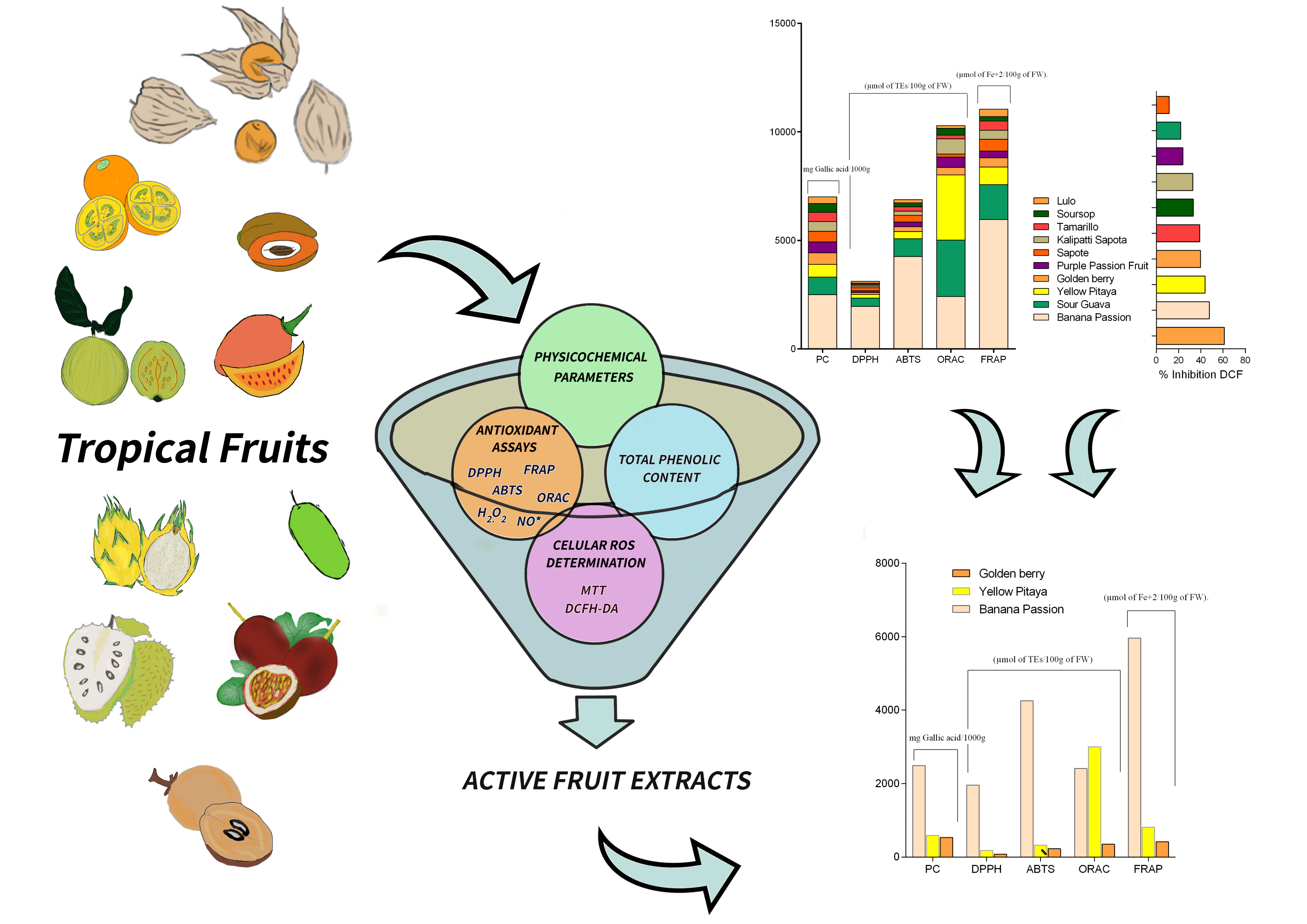 Graphical Abstract