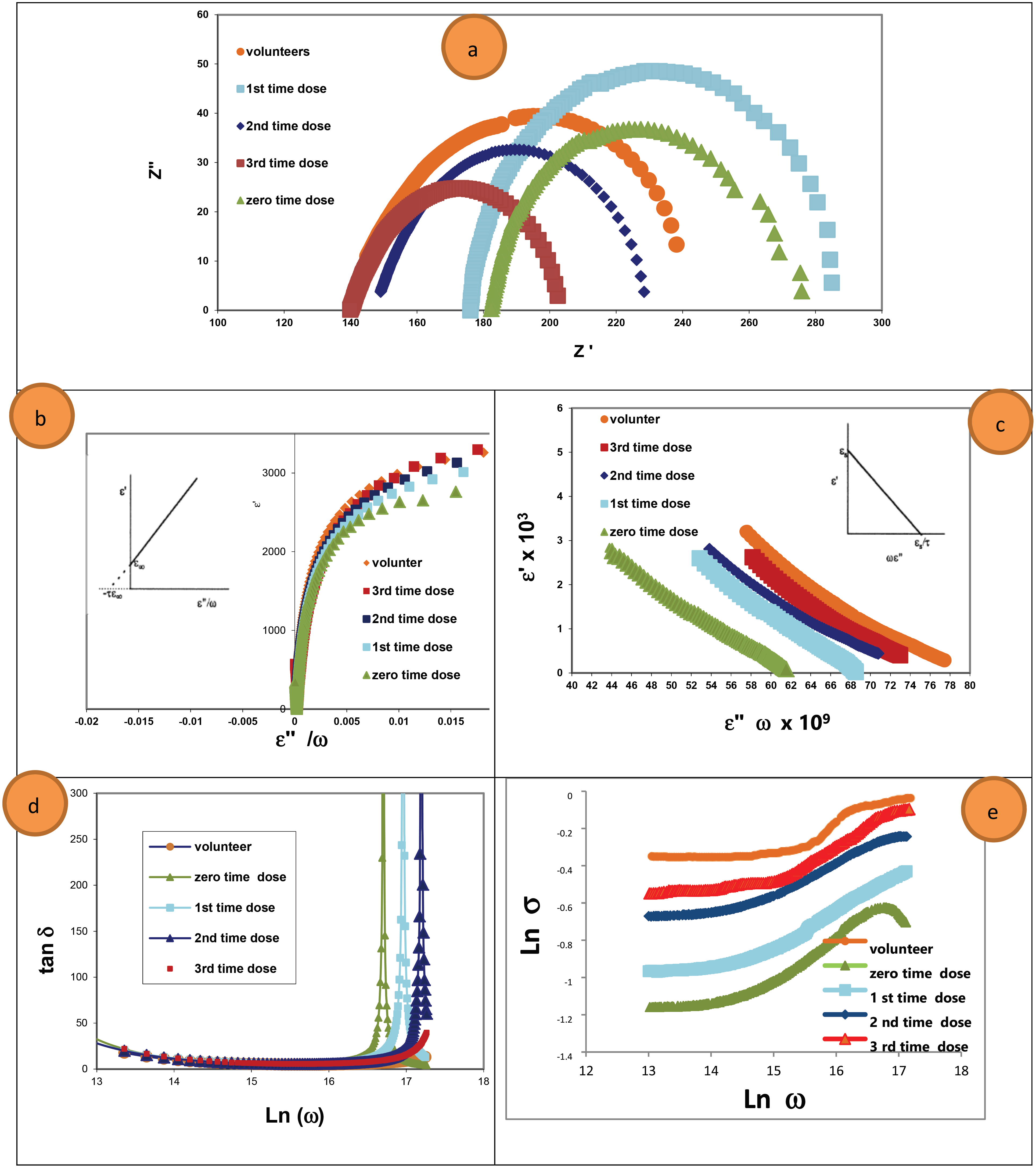 Graphical Abstract