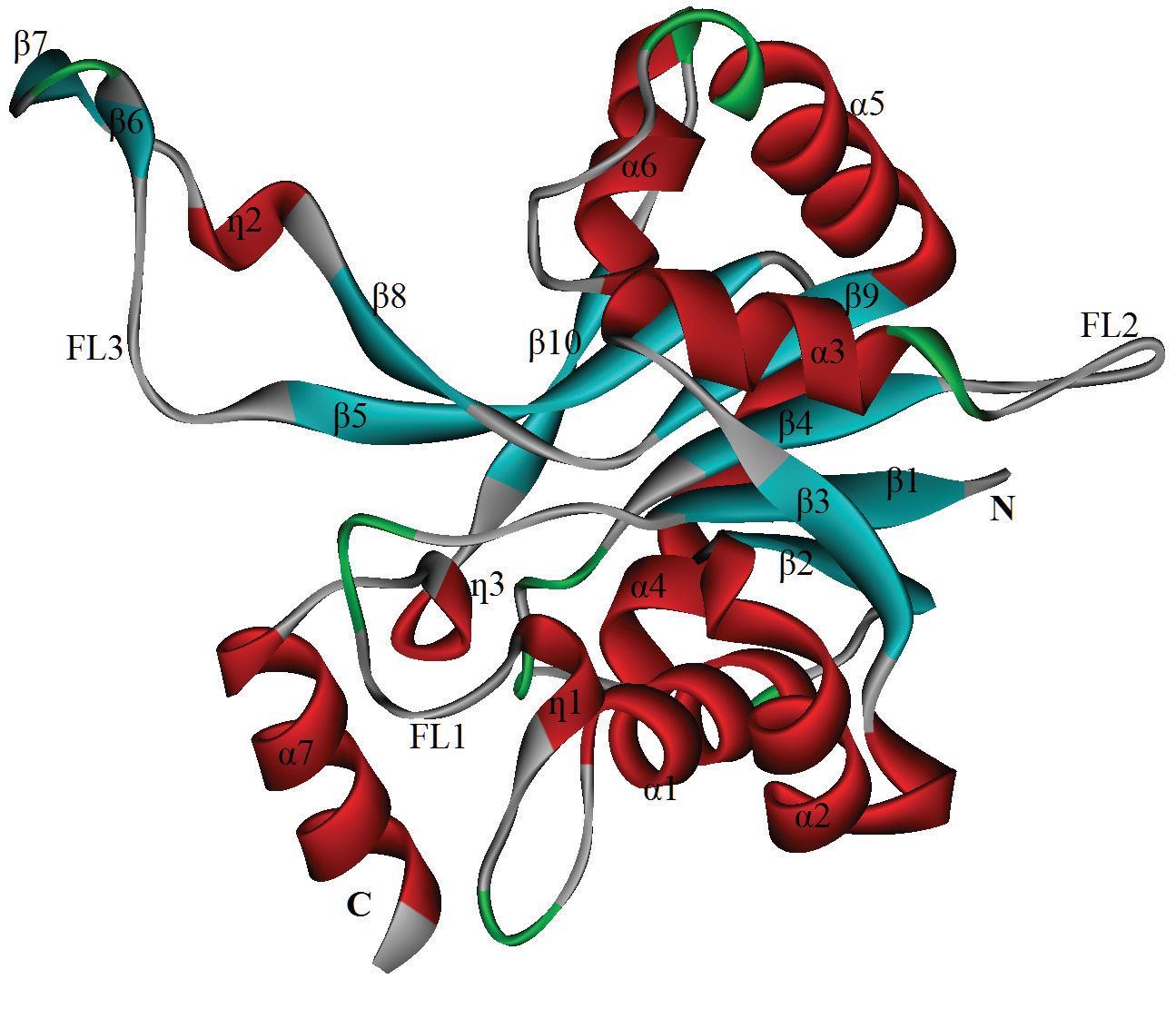 Graphical Abstract