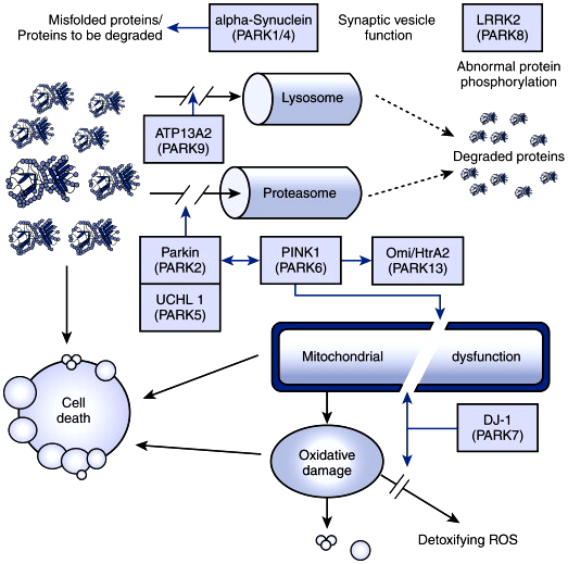 Graphical Abstract