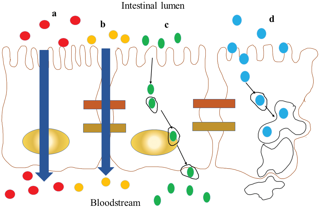 Graphical Abstract