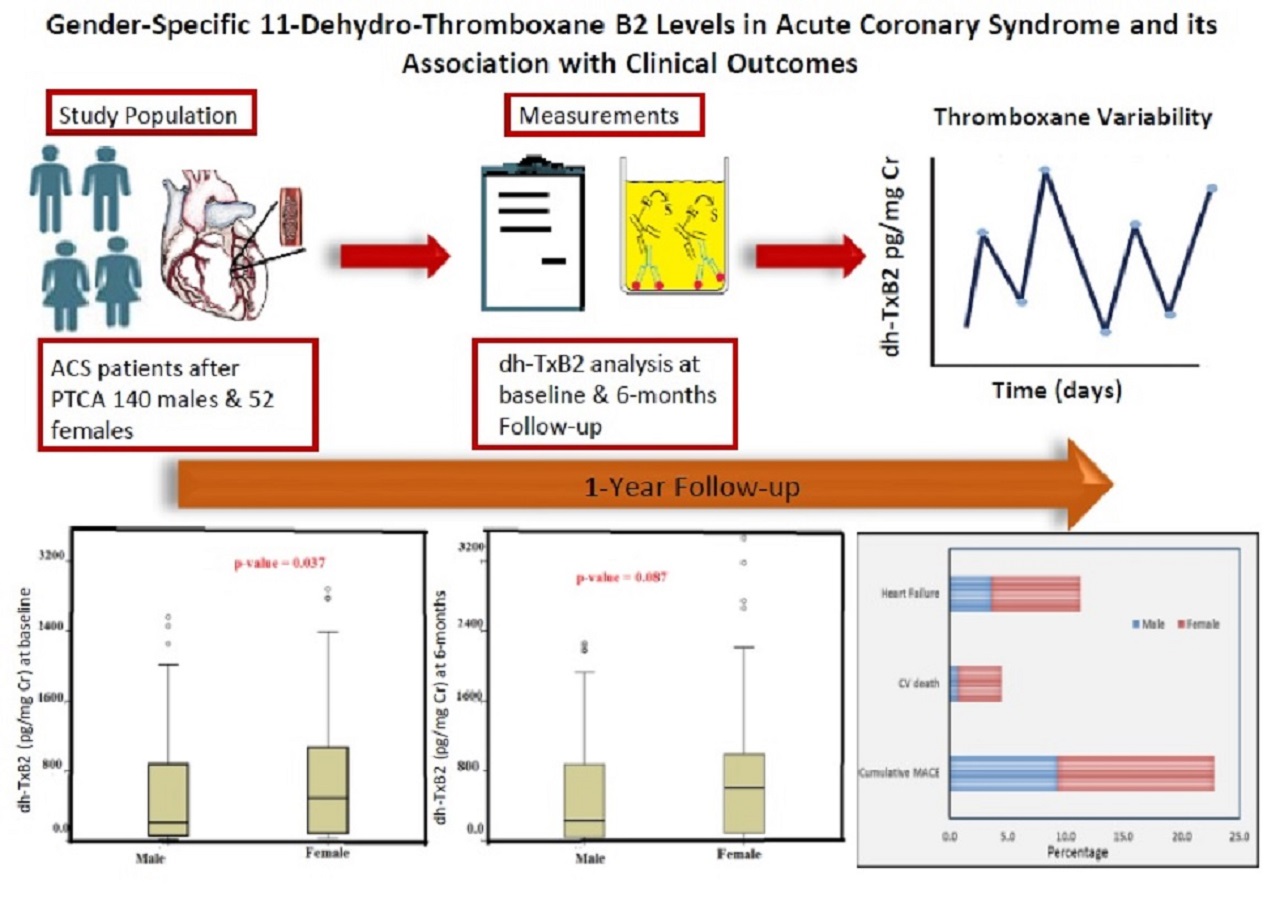 Graphical Abstract
