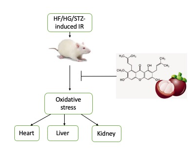 Graphical Abstract