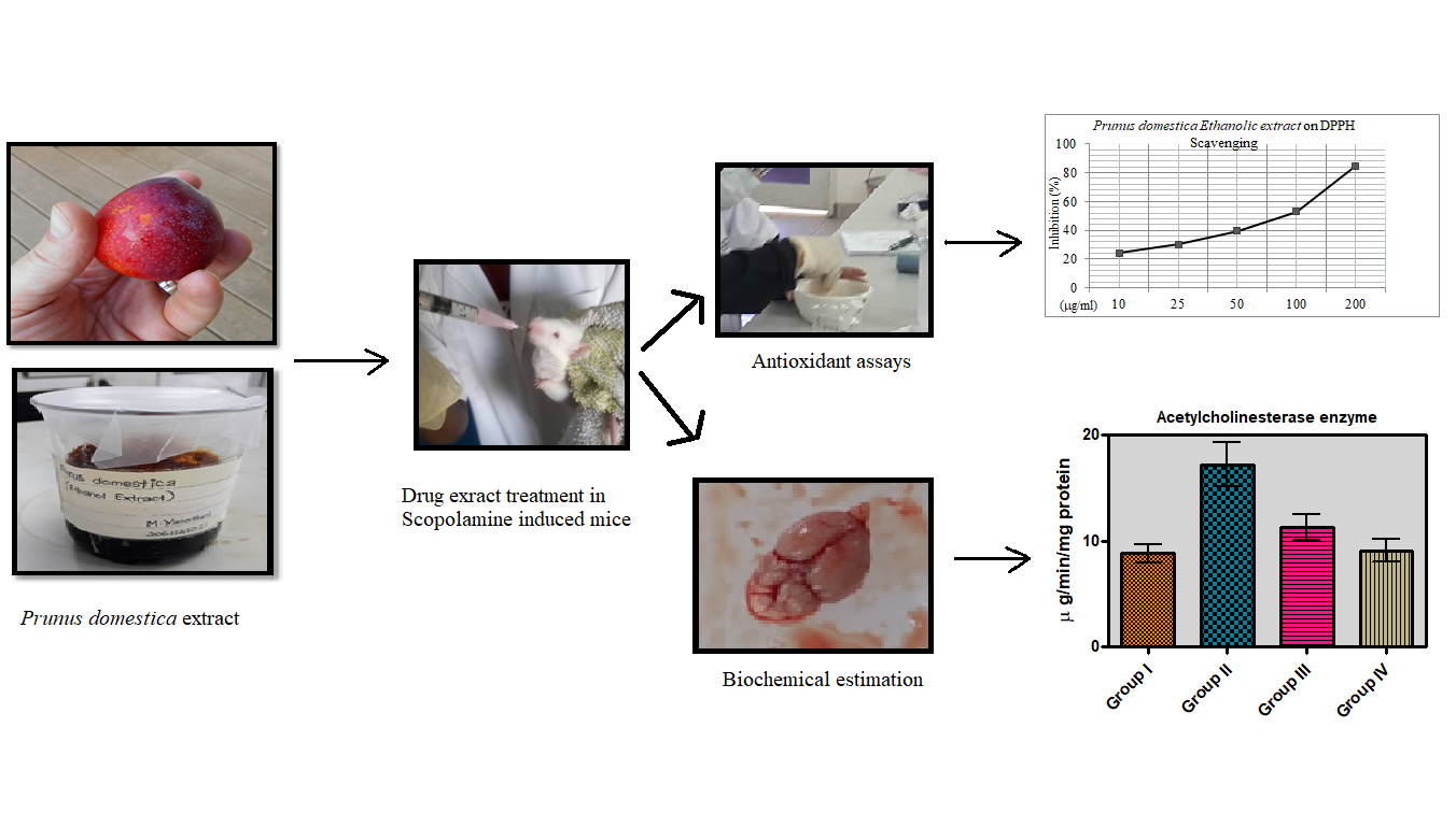 Graphical Abstract