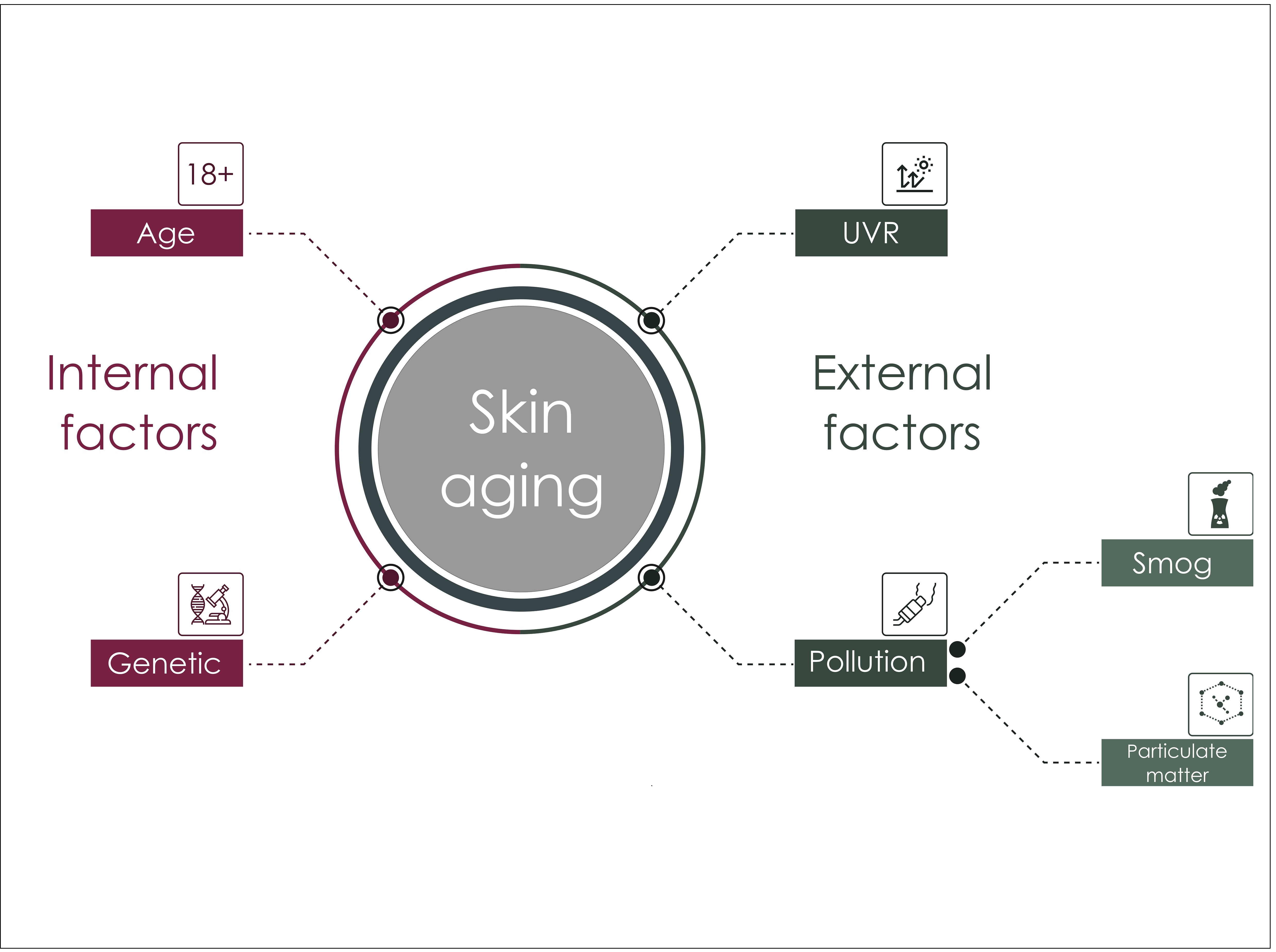 Graphical Abstract