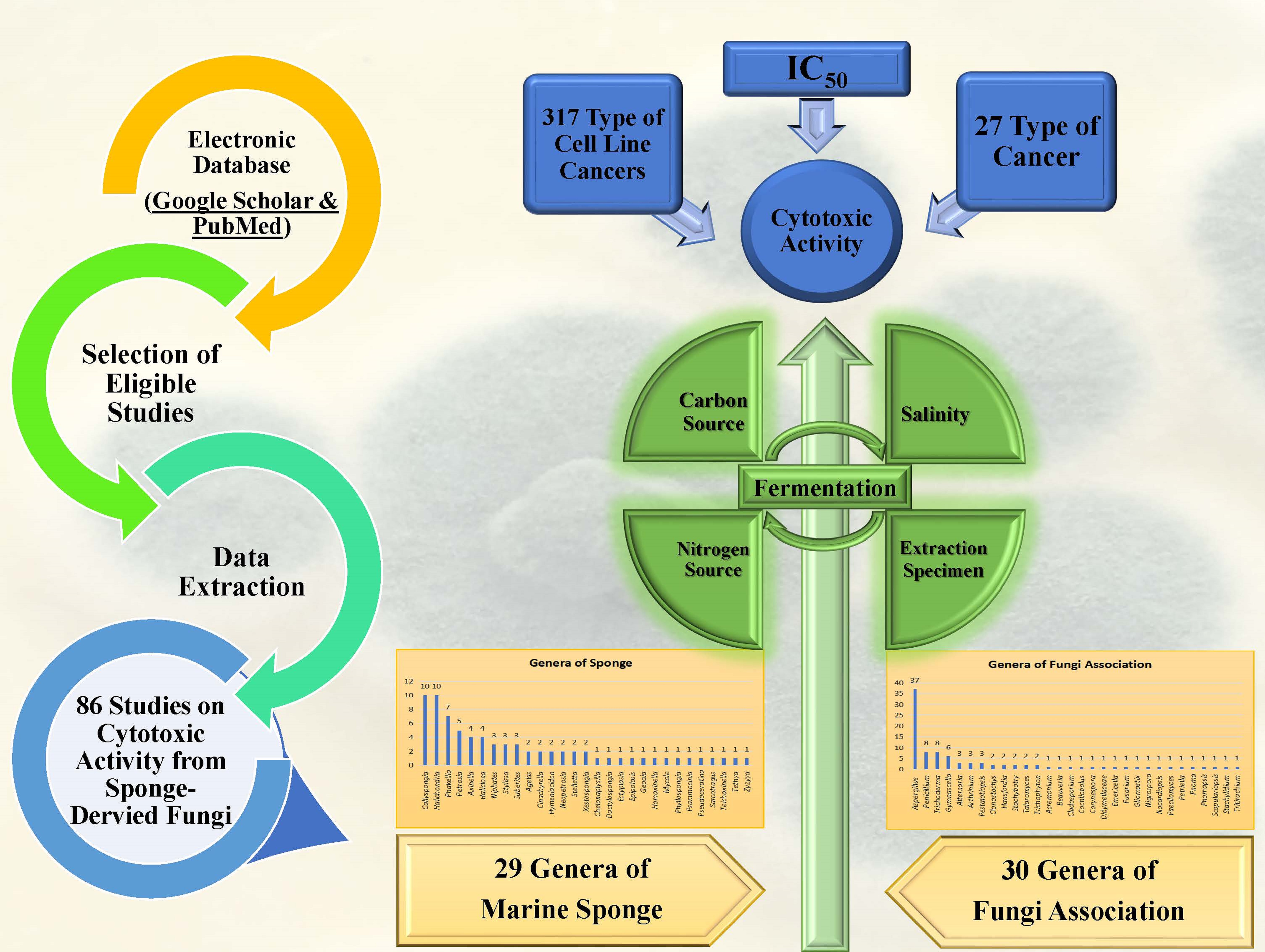 Graphical Abstract