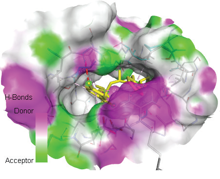 Graphical Abstract