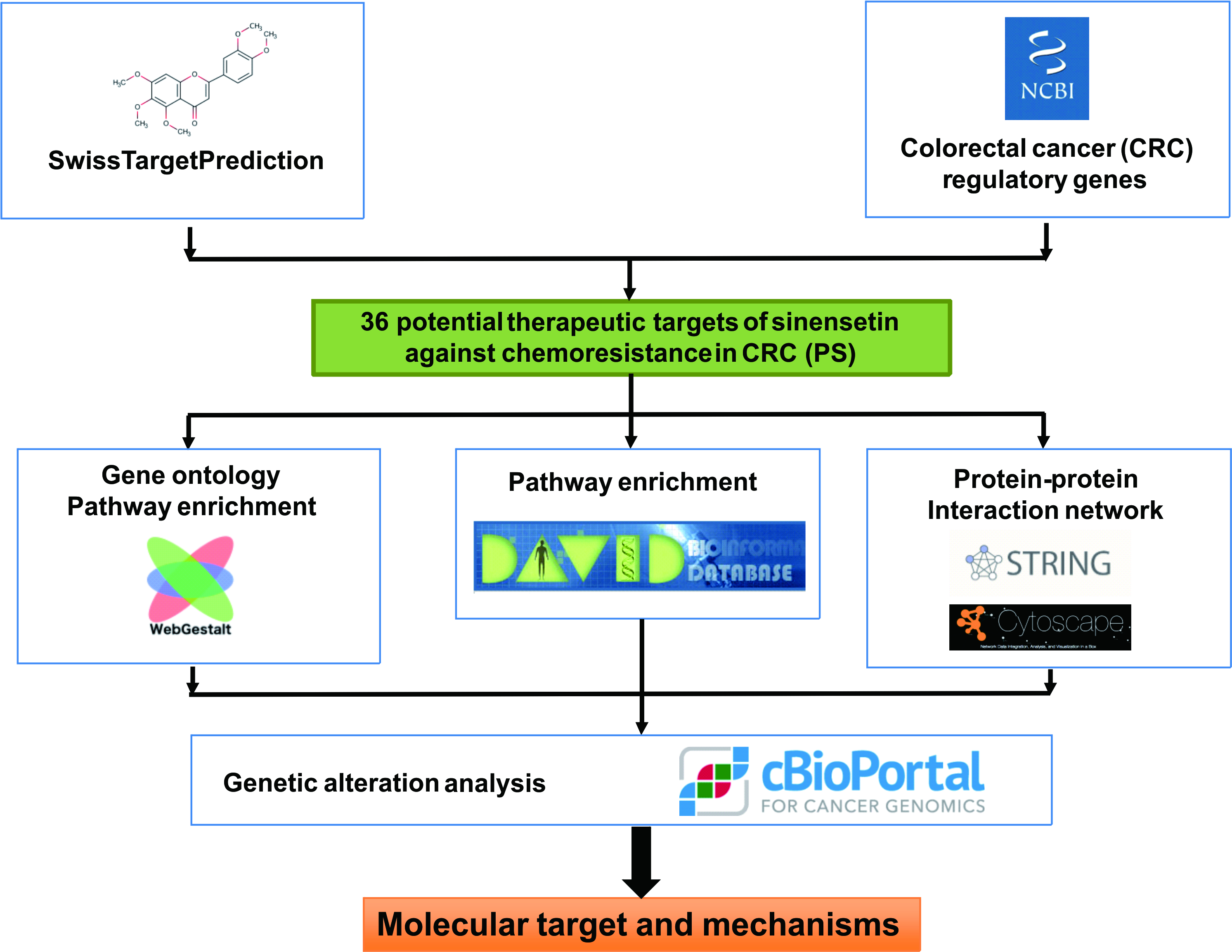 Graphical Abstract