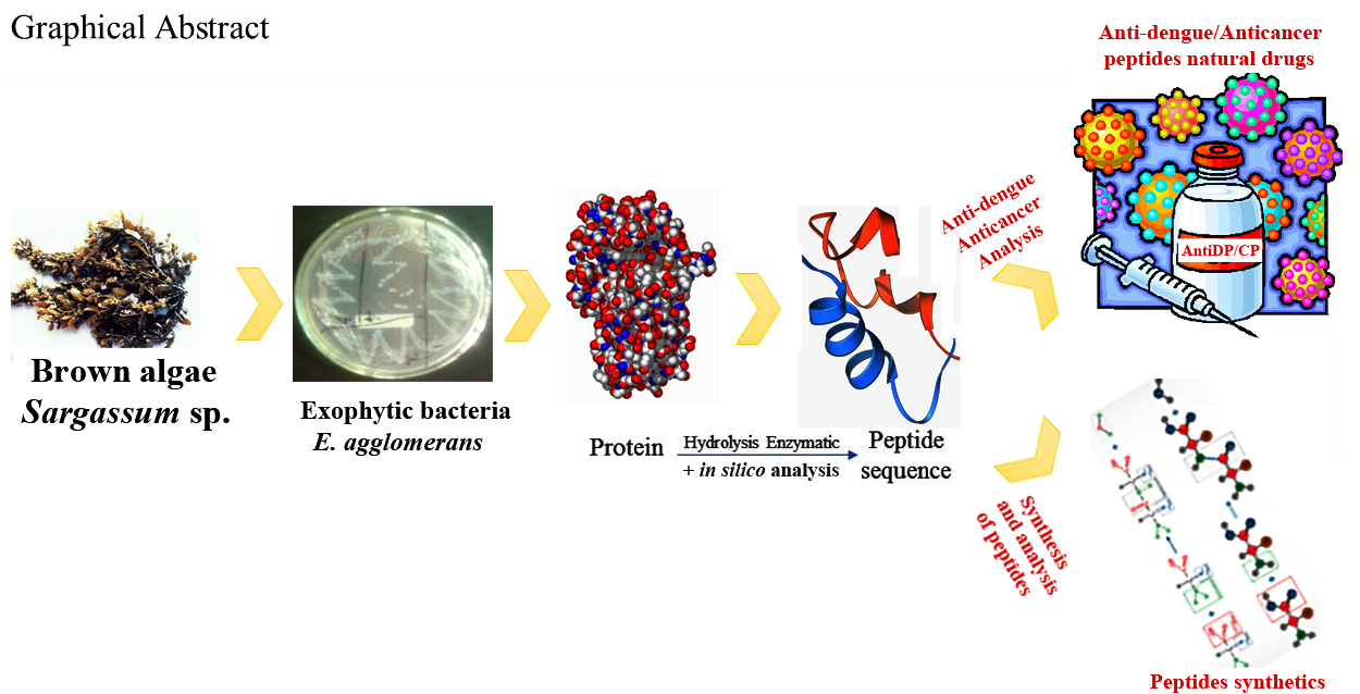 Graphical Abstract