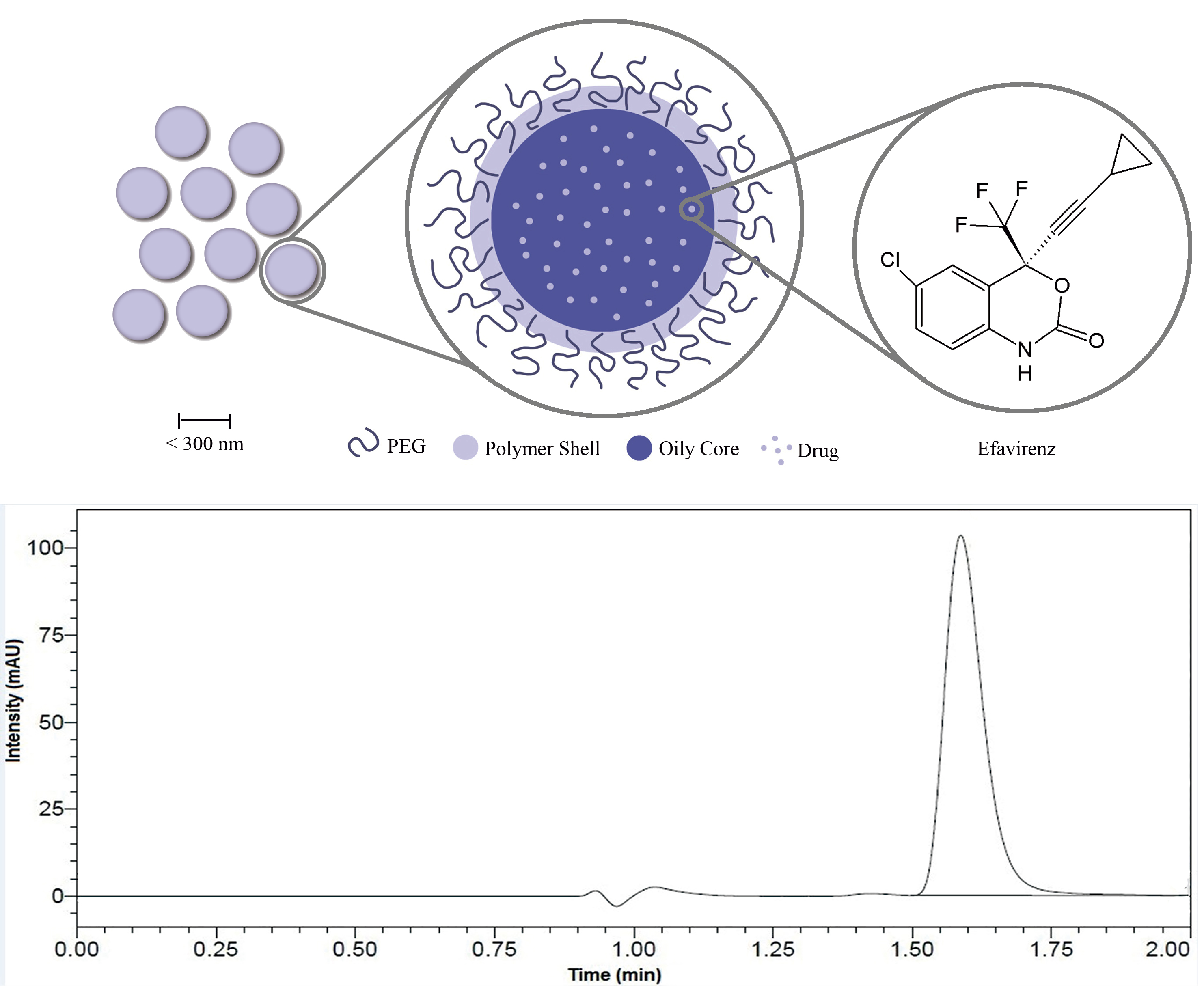 Graphical Abstract