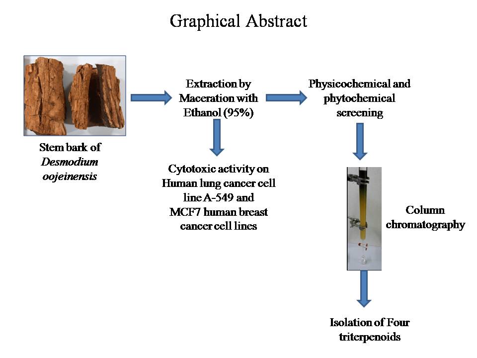 Graphical Abstract