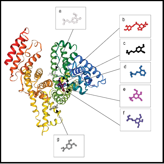 Graphical Abstract