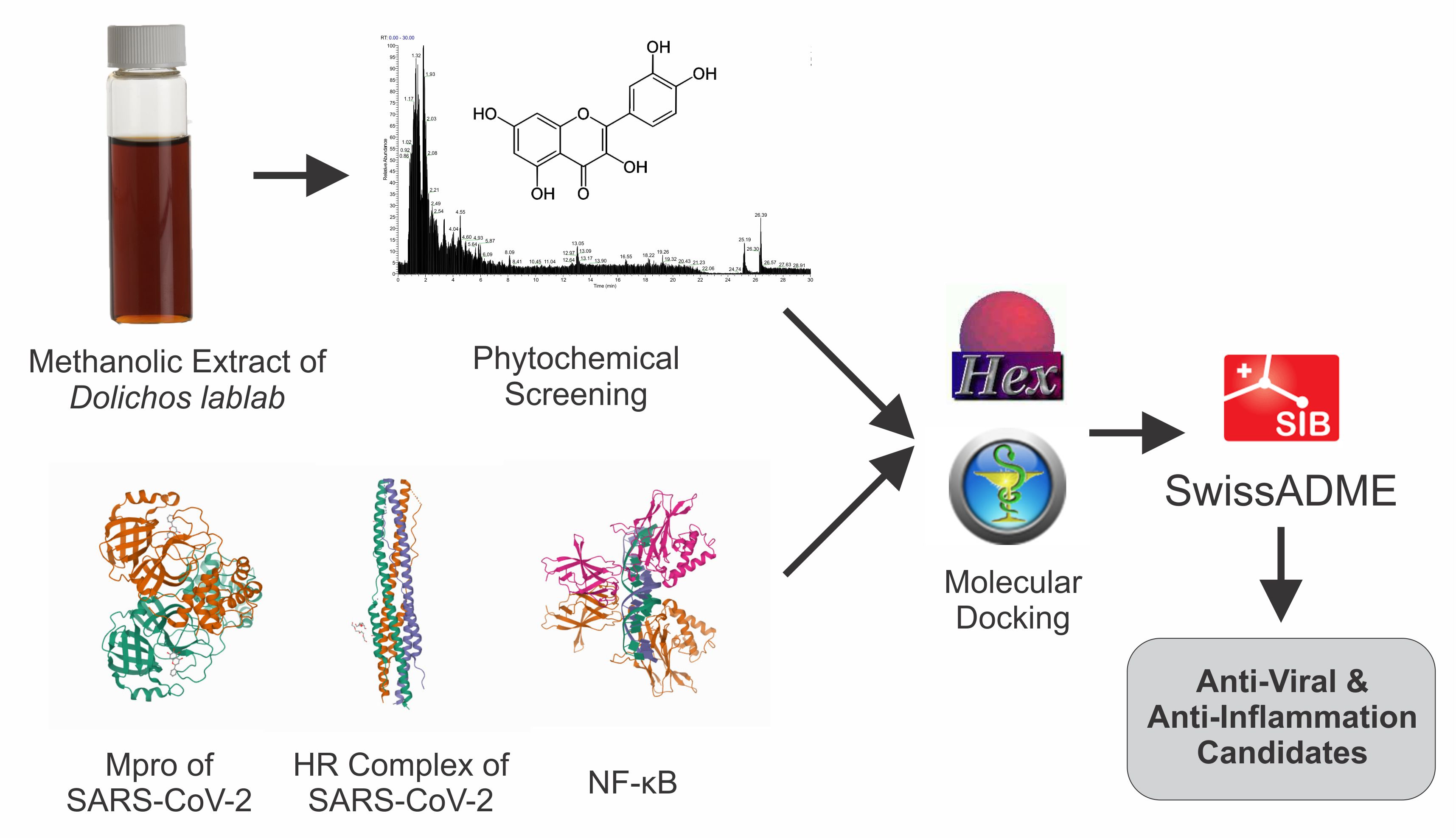 Graphical Abstract