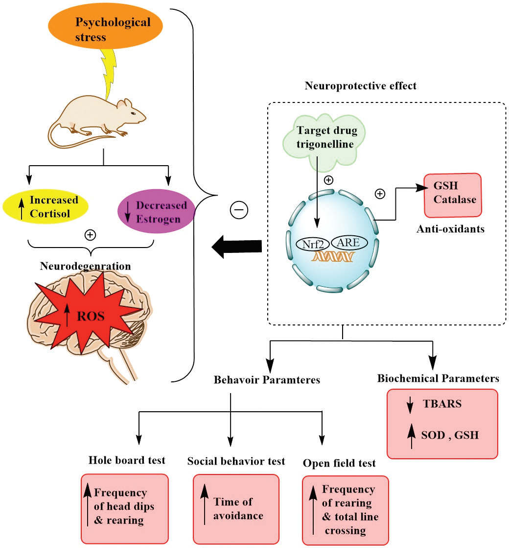 Graphical Abstract