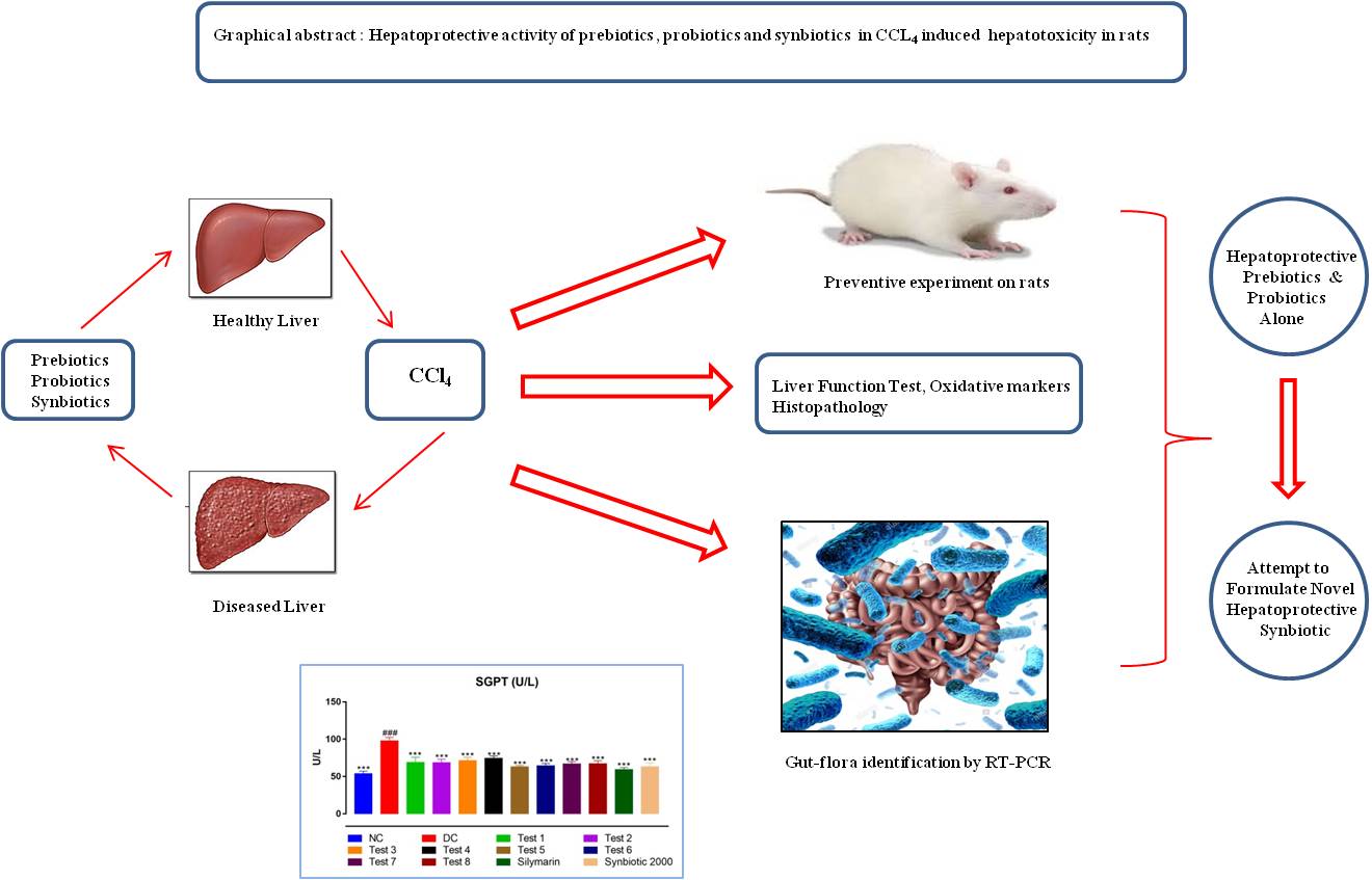 Graphical Abstract